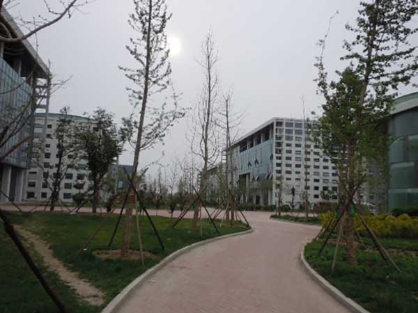 天津武清北欧绿色产业园